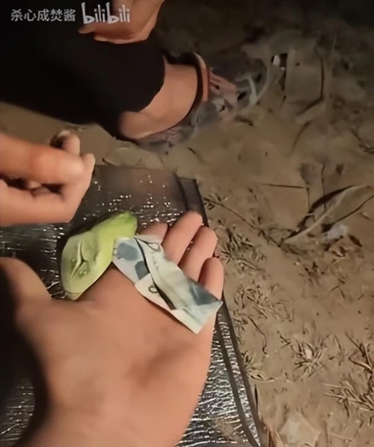 數十萬B站網友,正在圍觀當代「魯智深」