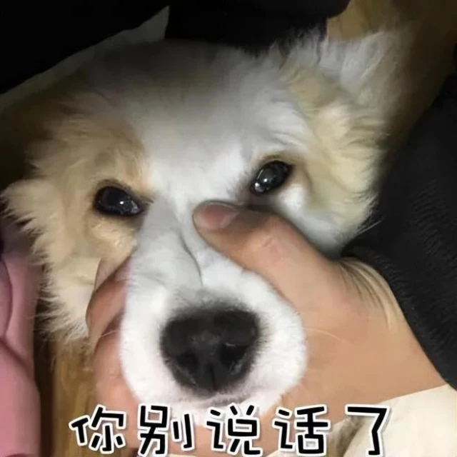 給任天堂豪擲50萬，只為了在股東大會上開噴