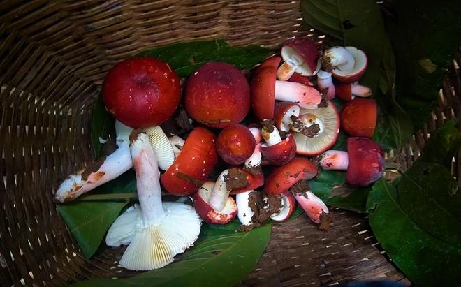 為什麼走在中國抽象前沿的,總是雲南網紅?