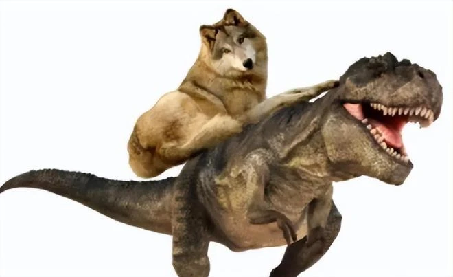 為什麼走在中國抽象前沿的,總是雲南網紅?