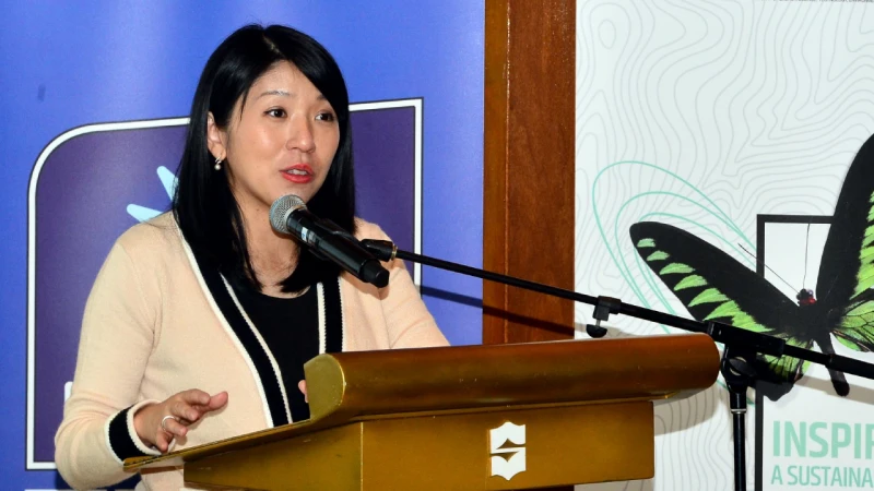 大馬綠電可招資60億  楊美盈促恢復出口獅城