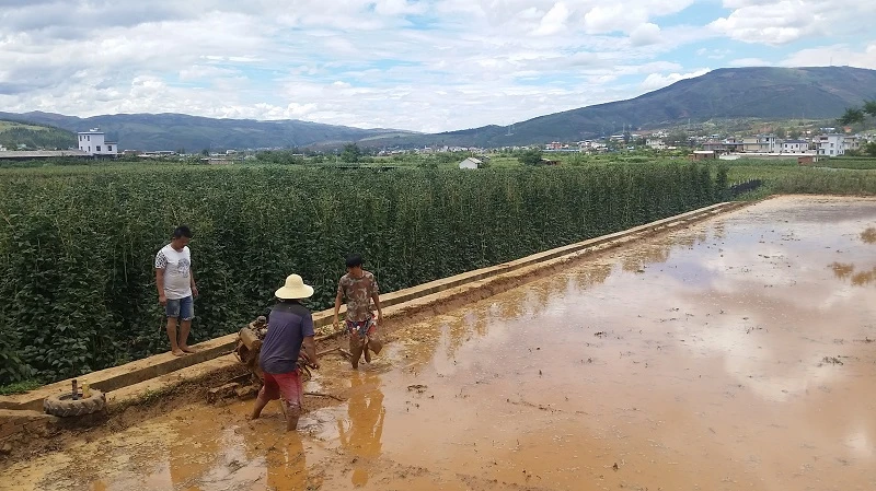 全球每六個過早死的人就有一人死於污染　亞洲情況尤為嚴重