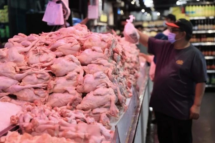 競爭委員會調查肉雞相關業者 報告6月底出爐