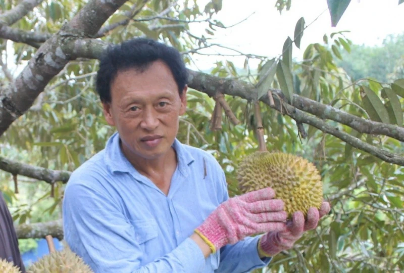 賊猴山豬松鼠榴槤園四害　園主絞盡腦汁護心血