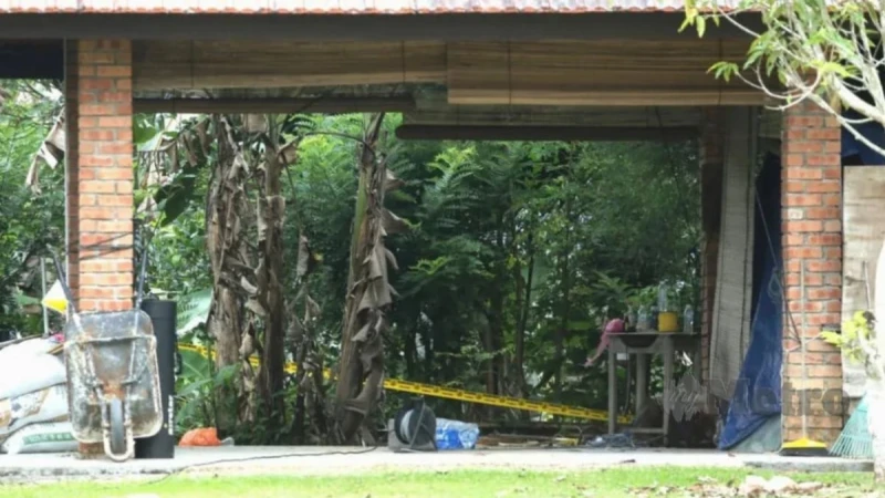 馬國史上最大宗！前外交官退休後在家開墾「大麻園」