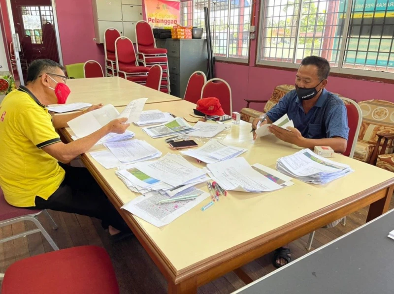 狂風襲擊適耕莊稻田　稻民可申請風災津貼