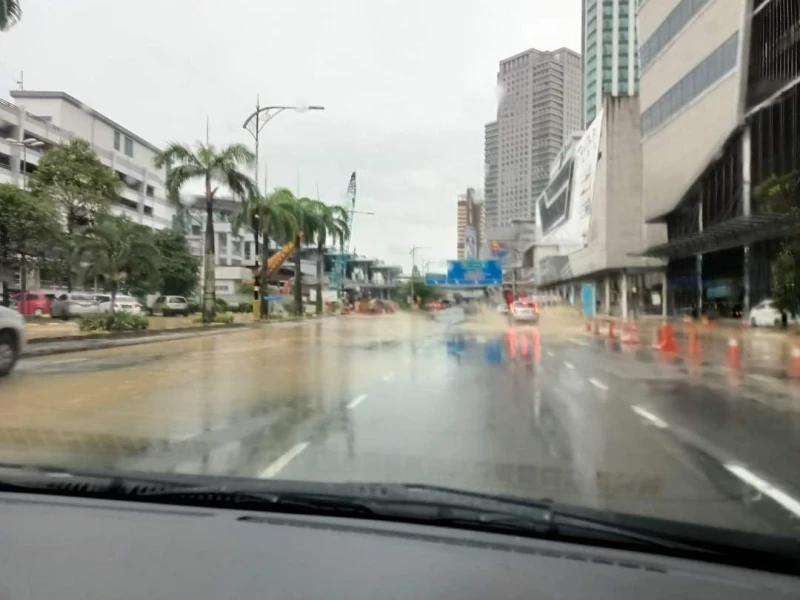 豪雨釀閃電水災　新山多條道路變澤國