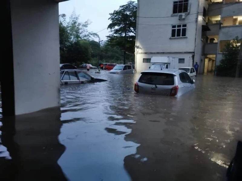 豪雨釀閃電水災　新山多條道路變澤國