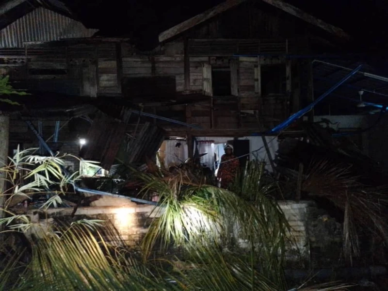 椰樹凌晨時分倒下　婦女熟睡中被壓斃