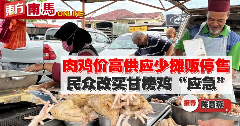 肉雞價高供應少攤販停售　民眾改買甘榜雞「應急」