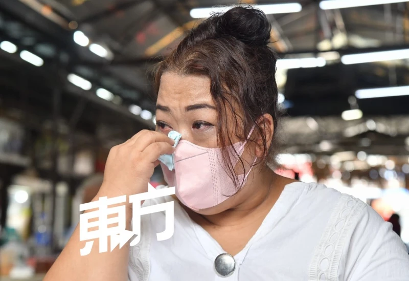 3孩子滯留國外15年如外勞　華裔母含淚：我要孩子回來