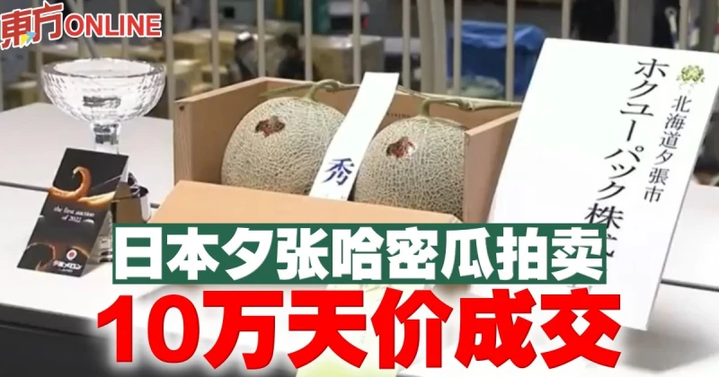 日本夕張哈密瓜拍賣　10萬天價成交