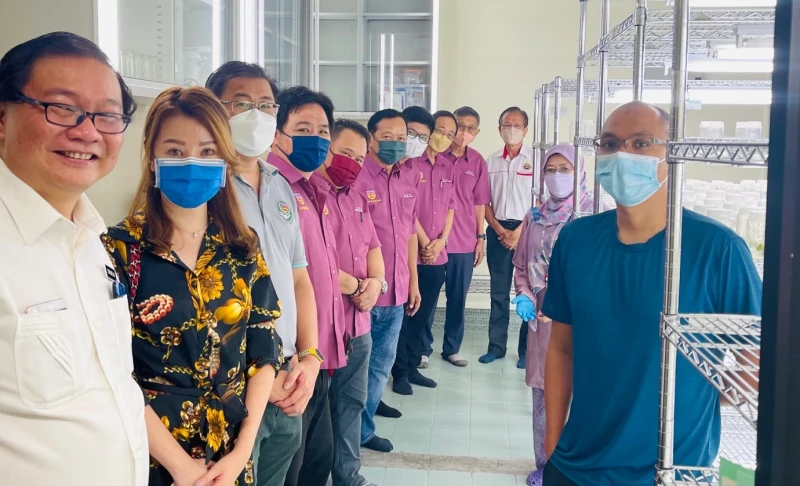 沙大植物組織培育技術 無菌培植雜交種苗