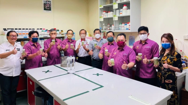 沙大植物組織培育技術 無菌培植雜交種苗