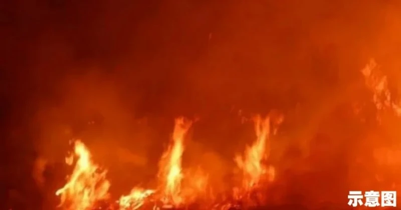 一家人興高采烈出遊度假　返家時住家和3車已燒剩灰燼