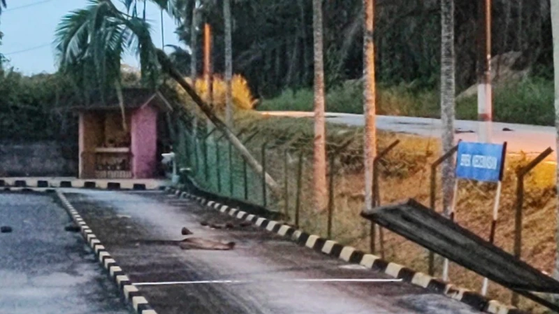 野象出沒闖教車中心覓食　嚇壞教車師傅