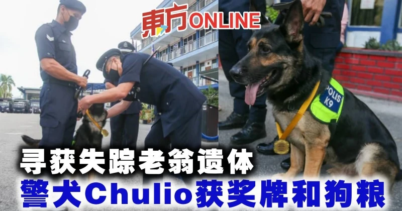 尋獲失蹤老翁遺體　警犬Chulio獲獎牌和狗糧 