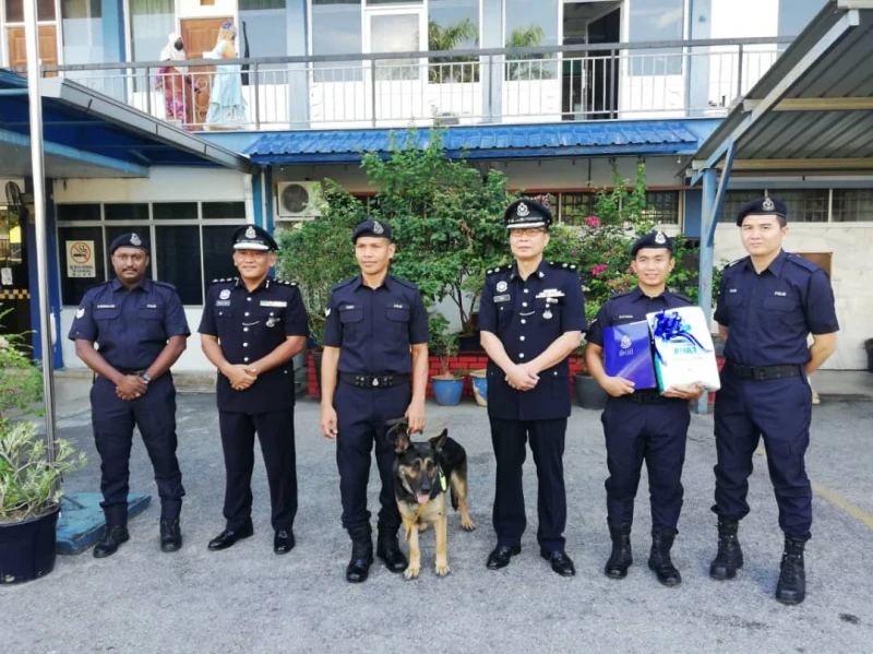 尋獲失蹤老翁遺體　警犬Chulio獲獎牌和狗糧 