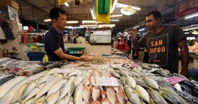 海魚、養殖魚與進口漁同步減產　漁獲市場30年來最嚴重短缺