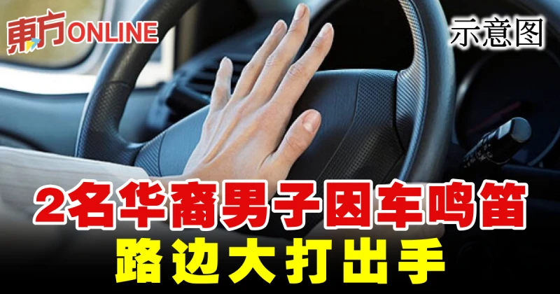 2名華裔男子因車鳴笛　路邊大打出手