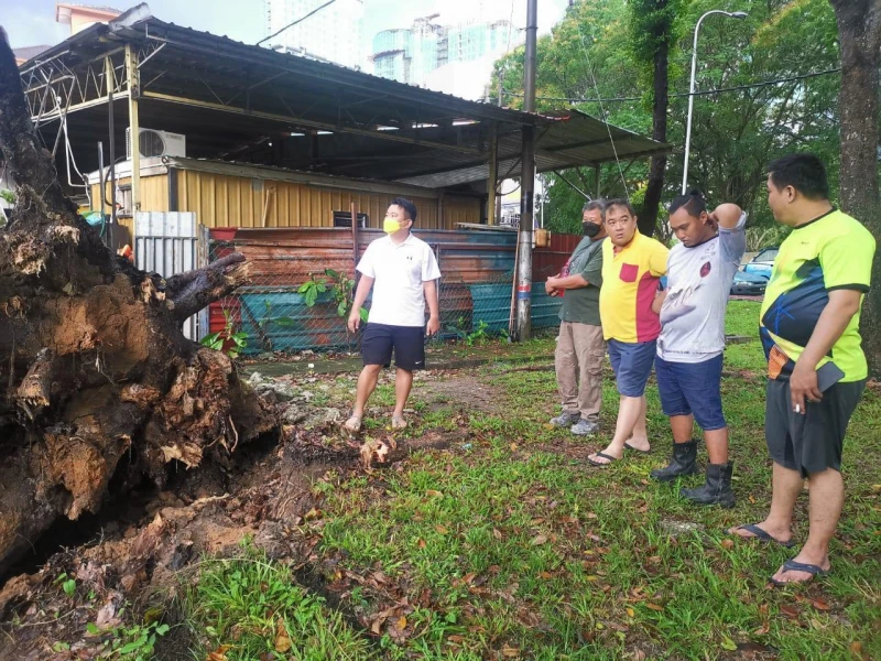樹倒壓毀檳壟尾義消會所　3名留宿義消人員逃過一劫