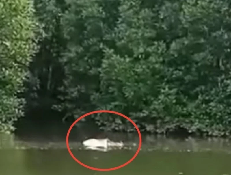 男子疑遭殺害棄屍案　死者戴刻有「WANA LOVE WAN」字眼銀戒指