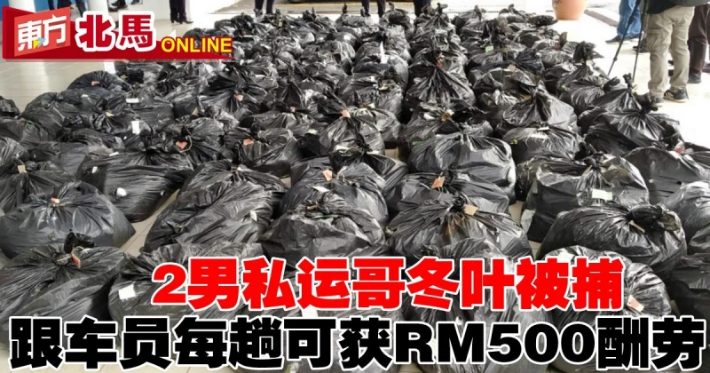 2男私運哥冬葉被捕　跟車員每趟可獲RM500酬勞