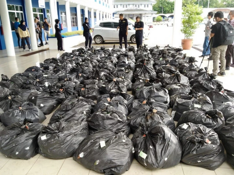 2男私運哥冬葉被捕　跟車員每趟可獲RM500酬勞