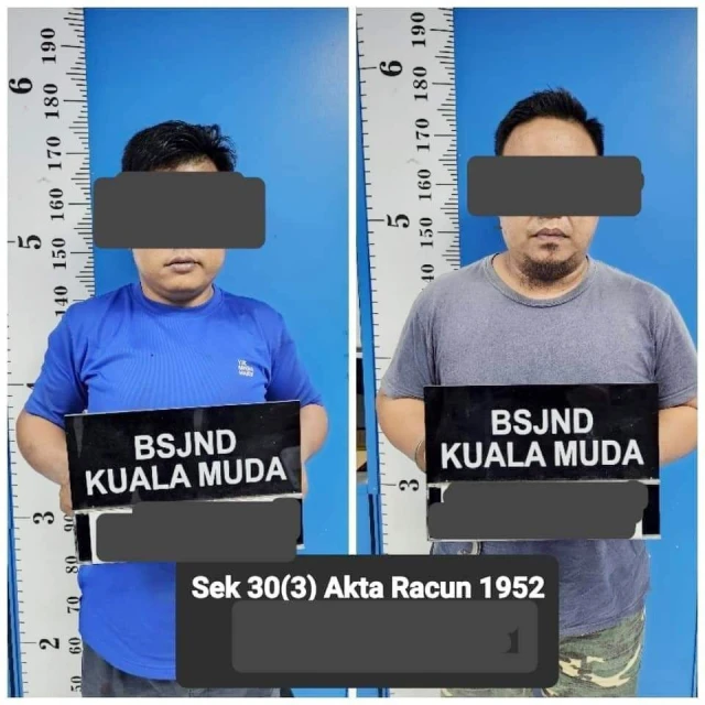 2男私運哥冬葉被捕　跟車員每趟可獲RM500酬勞