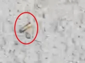 拒配合調查加速逃離　警開槍射輪逮捕司機