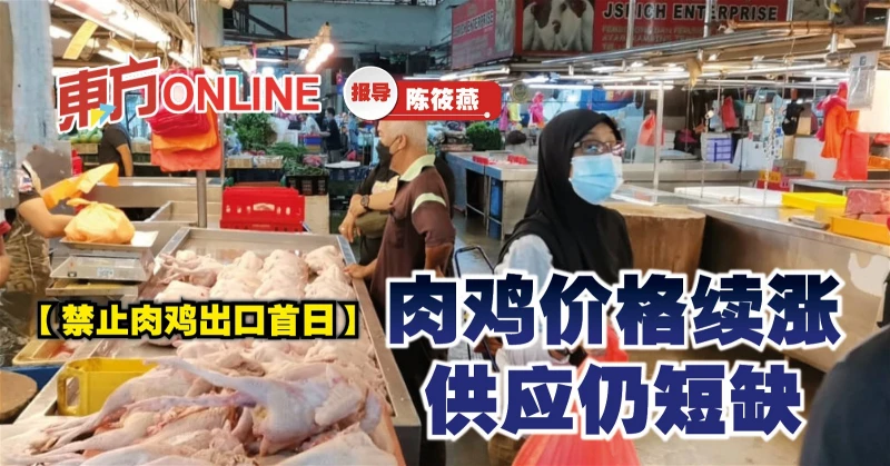【禁止肉雞出口首日】肉雞價格續漲　供應仍短缺