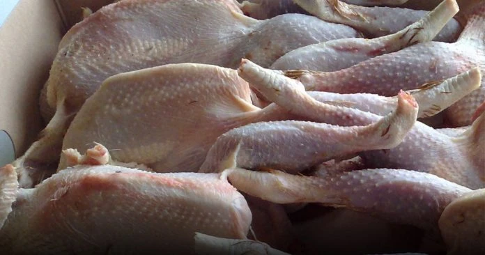 大馬6月1日起 禁出口11種雞肉產品