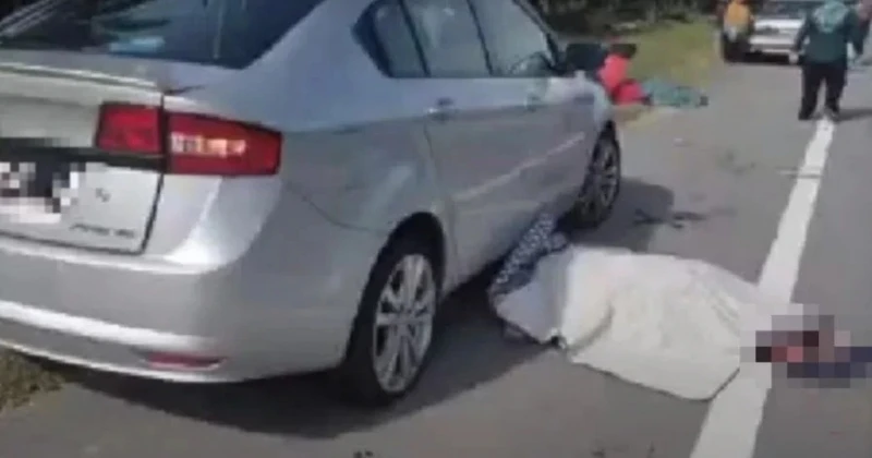 好心路邊幫忙換輪胎 衛生部監督員與好友被撞死