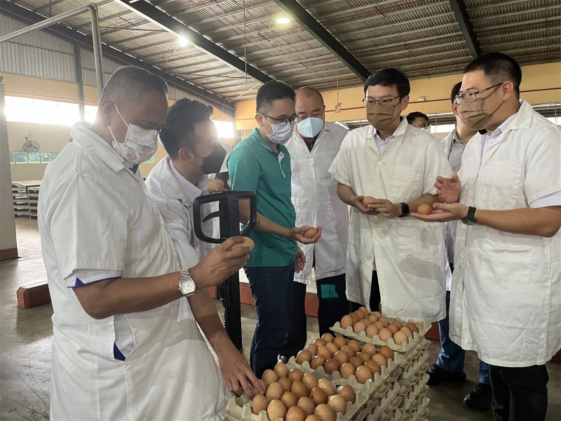 肉雞供應料未來兩周回穩 　李廷漢：政府探討新機制減輕人民負擔