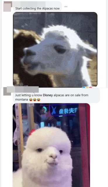 強尼戴普勝訴　網湧入迪士尼面子書討「100萬隻羊駝」