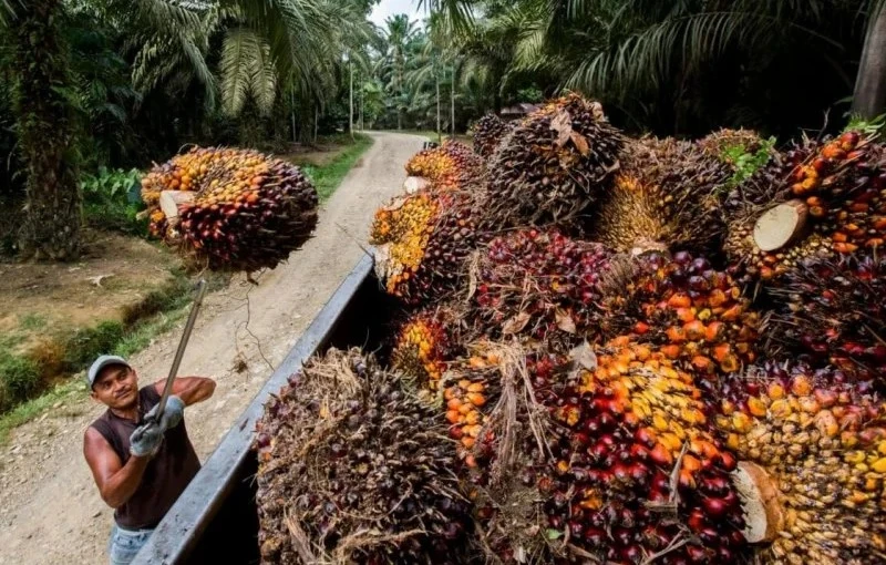 大馬人資部警告  禁扣工資填補招聘成本
