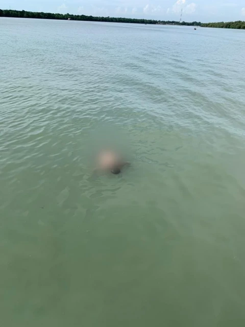 巴生英達島碼頭海域　浮現兩具身份不明屍體