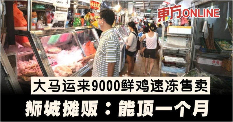 大馬運來9000鮮雞速凍售賣　獅城攤販：能頂一個月