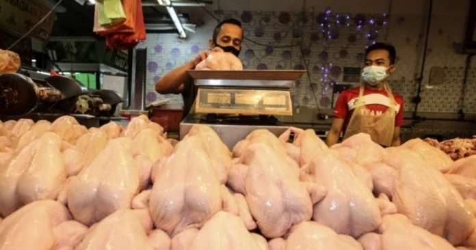 確保糧食供應　農業部維持糧食進口與生產平衡