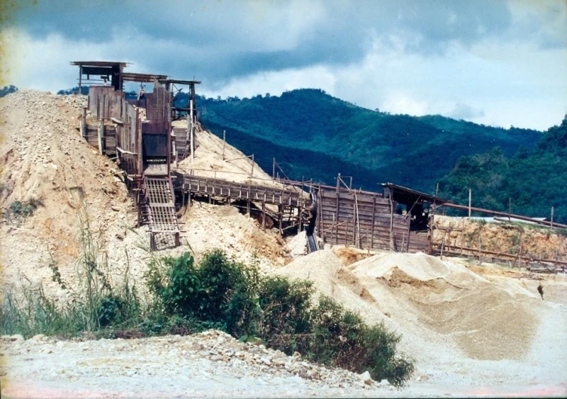 雷子健：張保仔布賴採金？