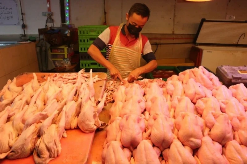 專家：雞肉禁出口令　或導致失去新加坡市場