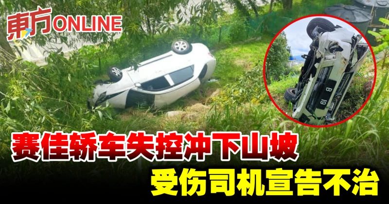 賽佳轎車失控衝下山坡　受傷司機宣告不治
