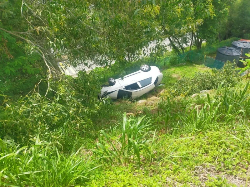 賽佳轎車失控衝下山坡　受傷司機宣告不治