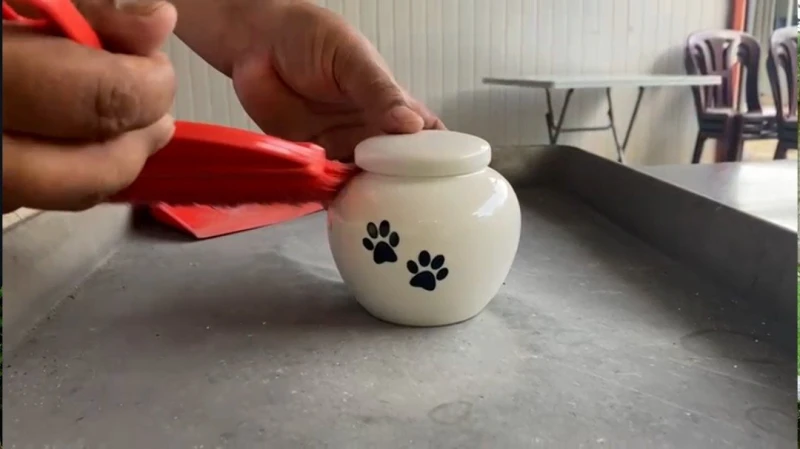 飼主盼毛小孩善終體面告別　殯葬需求十年前後漲三成