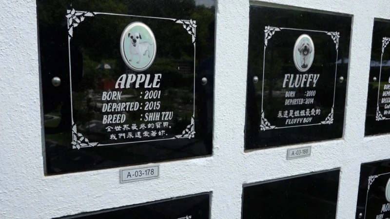 飼主盼毛小孩善終體面告別　殯葬需求十年前後漲三成