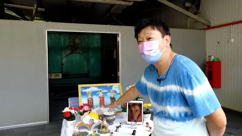 飼主盼毛小孩善終體面告別  殯葬需求十年前後漲三成