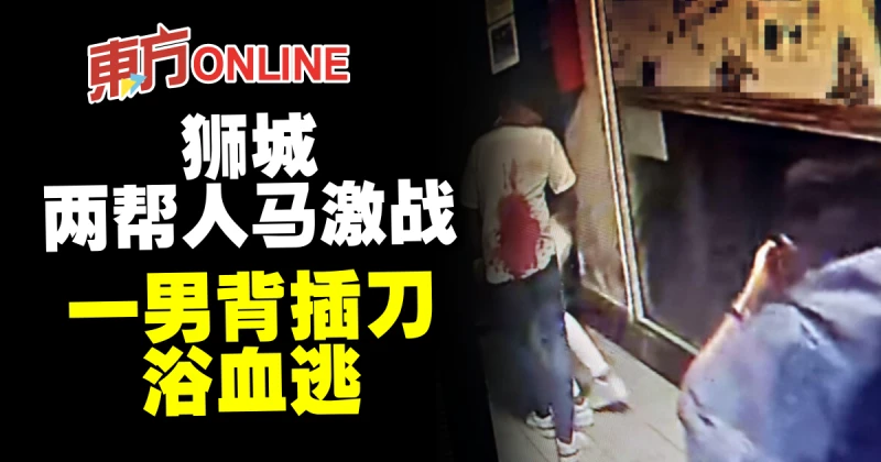 獅城兩幫人馬激戰　一男背插刀浴血逃