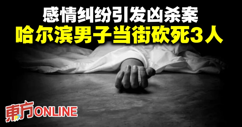 感情糾紛引發兇殺案　哈爾濱男子當街砍死3人