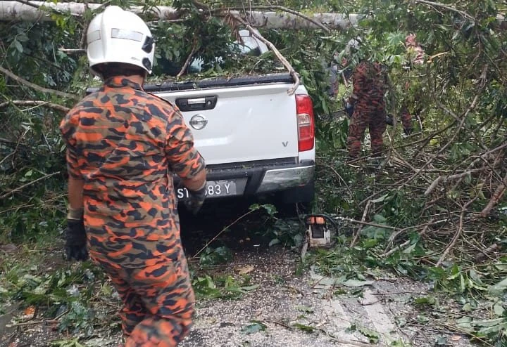 四驅貨卡打滑撞倒樹木