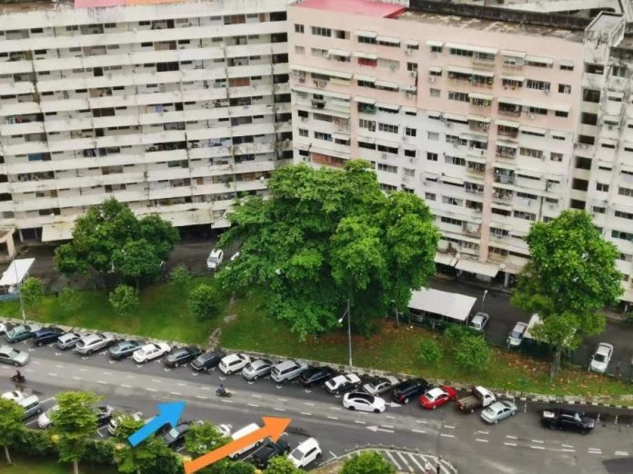Central Park前道路2條分界線　馬華：混淆交通視線帶來車禍隱憂